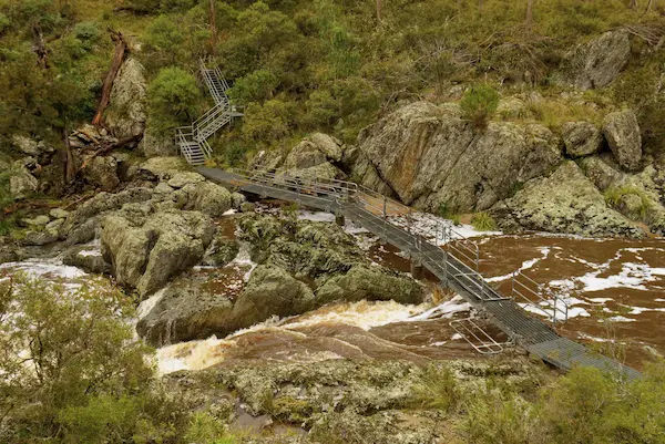 Wollomombi Falls (40)